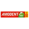 Amodent Herbal fogkrém 100 ml termékhez kapcsolódó kép