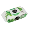PAPILION ALOE VERA NEDVES TÖRLŐKENDŐ 100 LAPOS KUPAKOS termékhez kapcsolódó kép
