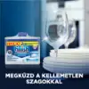 Finish mosogatógép tisztító 2 x 250 ml termékhez kapcsolódó kép