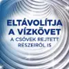 Finish mosogatógép tisztító citrom illattal 2x250 ml  termékhez kapcsolódó kép