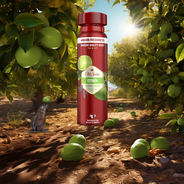 Old Spice Citron  Deo Spray Férfiaknak, Akár 48 Órás Frissesség, Alumíniummentes,  ml termékhez kapcsolódó kép