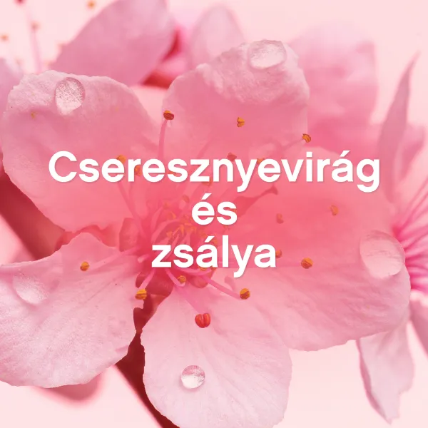 Lenor Öblítő 48 Mosáshoz 1.2L, Cherry Blossom & Sage termékhez kapcsolódó kép