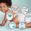 Pampers Premium Care Bugyipelenka, Méret: 5, 34 db Bugyipelenka, 12kg - 17kg termékhez kapcsolódó kép