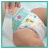 Pampers bugyipelenka - havi pelenkacsomag Méret: 4, 180 db Pelenka, 9kg - 15kg termékhez kapcsolódó kép