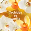 Lenor Textilöblítő 48 mosáshoz Orchid & Vanilla termékhez kapcsolódó kép