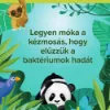 Palmolive Jungle Tropical Forest folyékony szappan 300 ml termékhez kapcsolódó kép