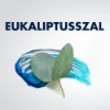 Gillette Series Hűsítő Borotvazselé Eukaliptusszal, 200ml termékhez kapcsolódó kép