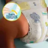 Pampers Premium Care Pelenka, 2 Méret, 68 db, 4kg-8kg termékhez kapcsolódó kép