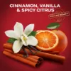 Old Spice Original Deo Spray Férfiaknak, 150 ml termékhez kapcsolódó kép