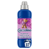 Coccolino Perfume & Care Purple Orchid & Blueberries öblítőkoncentrátum 37 mosás 925 ml termékhez kapcsolódó kép