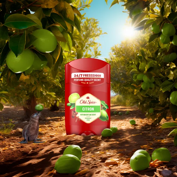Old Spice Citron Stift Dezodor Férfiaknak, Alumíniummentes, 48 Órás Frissesség,  ml termékhez kapcsolódó kép