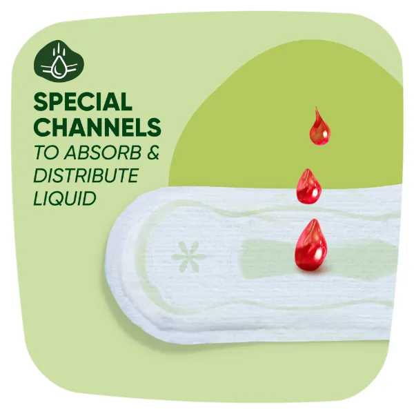 Naturella Classic Normal Plus Méret 2 Szárnyas Betét 10 db termékhez kapcsolódó kép