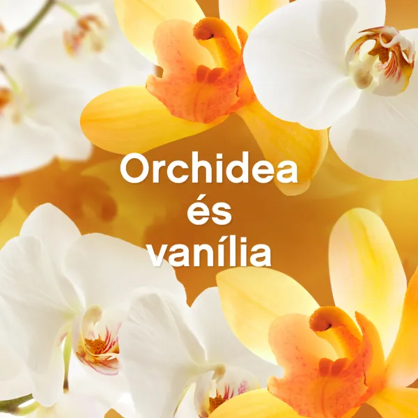 Lenor Textilöblítő 48 mosáshoz Orchid & Vanilla termékhez kapcsolódó kép