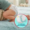 Pampers Premium Care Bugyipelenka, Méret: 6, 31 db Bugyipelenka, 15kg+ termékhez kapcsolódó kép