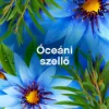 Lenor Textilöblítő 48 mosáshoz Capri termékhez kapcsolódó kép