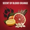 Old Spice Tigerclaw Tusfürdő És Sampon Férfiaknak, 400 ml termékhez kapcsolódó kép