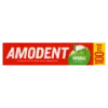 Amodent Herbal fogkrém 100 ml termékhez kapcsolódó kép