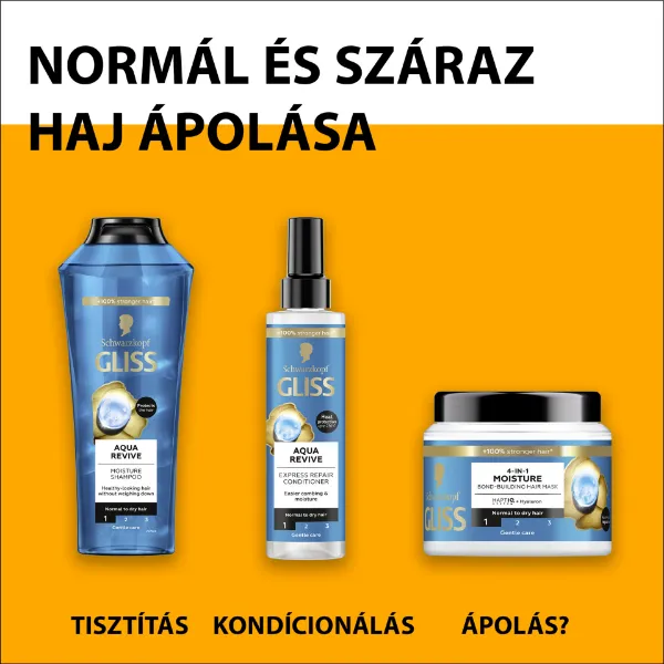 Gliss Aqua Revive hidratáló sampon hylauron komplex-szel normál és száraz hajra 250 ml termékhez kapcsolódó kép