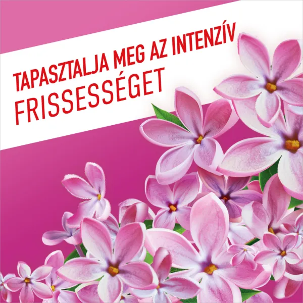 Ajax Floral Fiesta Lilac Breeze háztartási tisztítószer 1 l termékhez kapcsolódó kép