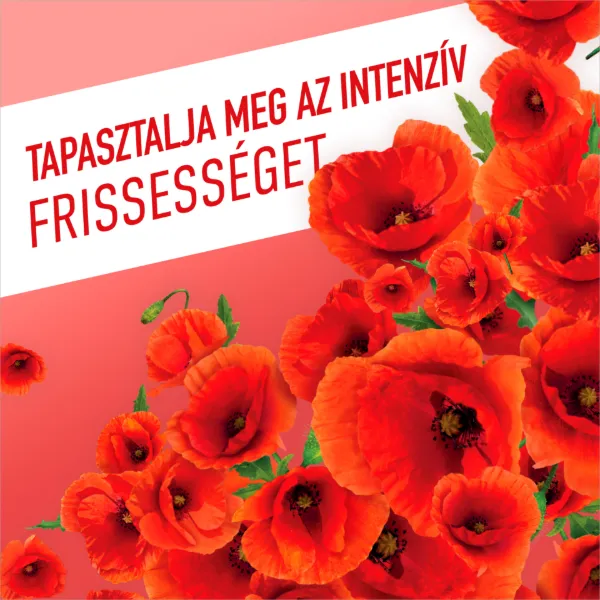 Ajax Floral Fiesta Red Flowers háztartási tisztítószer 1 l termékhez kapcsolódó kép