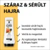 Gliss Teljeskörű regeneráló  balzsam 200 ml termékhez kapcsolódó kép