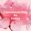 Lenor Textilöblítő 48 mosáshoz Cherry Blossom & Sage termékhez kapcsolódó kép