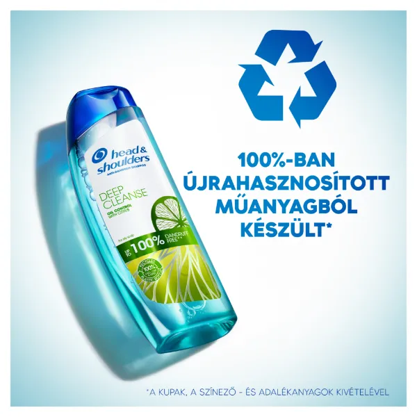 Head & Shoulders Deep Cleanse Oil Control korpásodás elleni sampon – 300 ml termékhez kapcsolódó kép