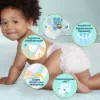 Pampers Premium Care Pelenka, 3 Méret, 200 db, 6kg-10kg termékhez kapcsolódó kép