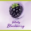 Palmolive Smoothies Velvety Blackberry tusfürdő 500 ml termékhez kapcsolódó kép