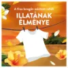 Lenor t.öblítő Tropical Sunset 76/1064ml termékhez kapcsolódó kép