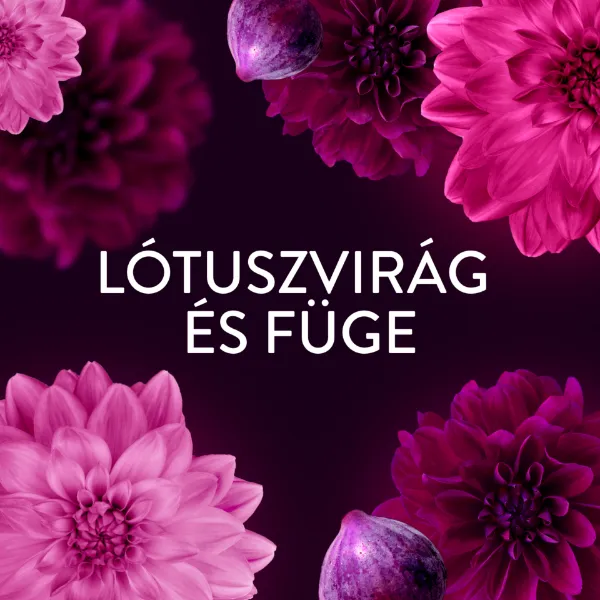 Lenor t.öblítő Lotus flower&Diamond figs 59/1239ml termékhez kapcsolódó kép