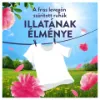 Lenor t.öblítő Pink Blossom 76/1064ml termékhez kapcsolódó kép