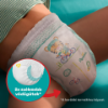 Pampers Pants Paw Patrol Kiadás, Méret: 6, 60 db Pelenka, 14kg - 19kg termékhez kapcsolódó kép