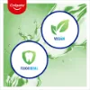 Colgate Plax Herbal Fresh szájvíz 500 ml termékhez kapcsolódó kép