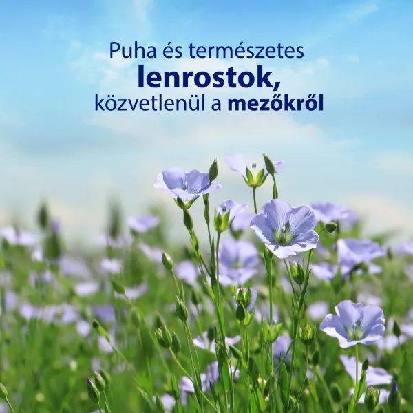 Zewa Natural Camomile nedves toalettpapír 42 db termékhez kapcsolódó kép