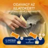Lenor Parfümgyöngyök 195gGold Orchid & Vanilla termékhez kapcsolódó kép