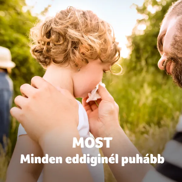 Zewa Deluxe 3 rétegű papírzsebkendő limited edition 90 db termékhez kapcsolódó kép