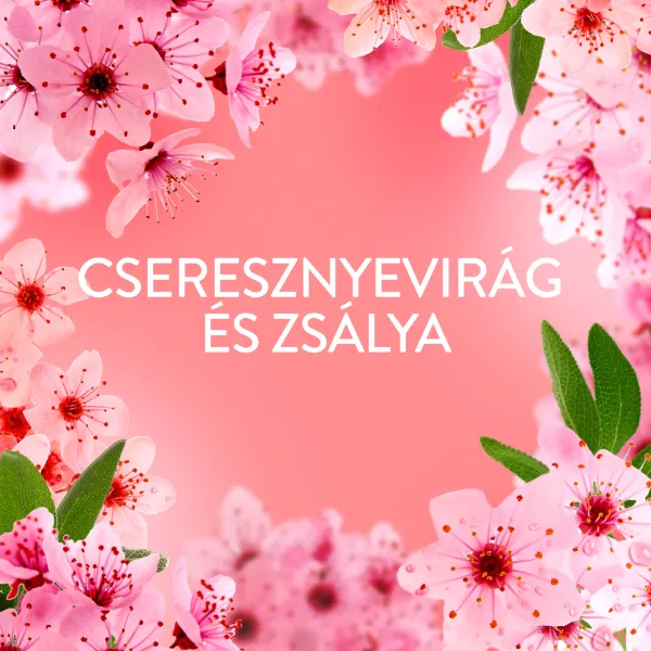 Lenor  Textilöblítő 59 Mosáshoz, Cherry Blossom & Sage termékhez kapcsolódó kép