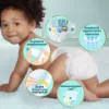 Pampers Premium Care Pelenka, 4 Méret, 104 db, 9kg-14kg termékhez kapcsolódó kép