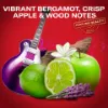 Old Spice Rock Star férfi tusfürdő és sampon, 400 ml termékhez kapcsolódó kép