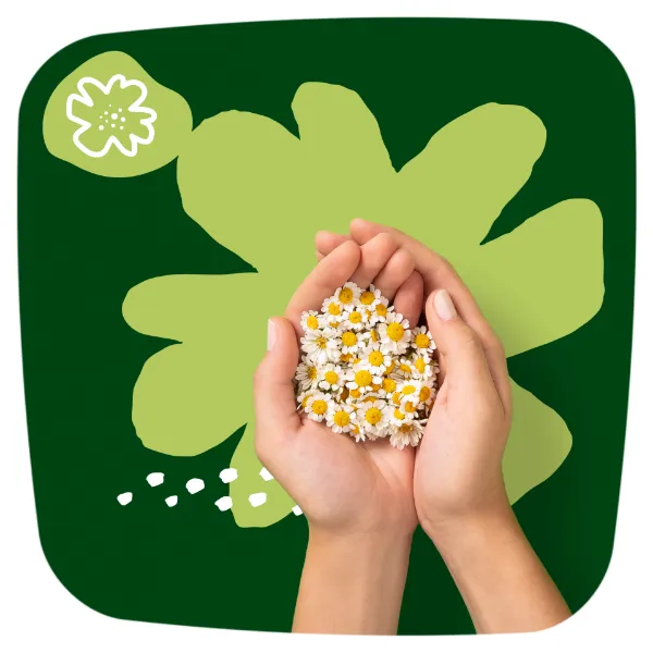 Naturella Ultra Szárnyas Betét, Night (4-es méret) Méret, 14 db termékhez kapcsolódó kép