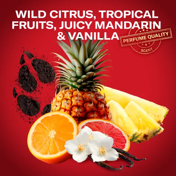 Old Spice Wolfthorn Férfi 3 az 1-ben Sampon és Tusfürdő, 1000 ml termékhez kapcsolódó kép