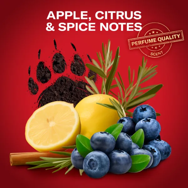 Old Spice Anime Ajándékszett Bearglove Stift Dezodorral, Spray-vel és Tusfürdővel termékhez kapcsolódó kép