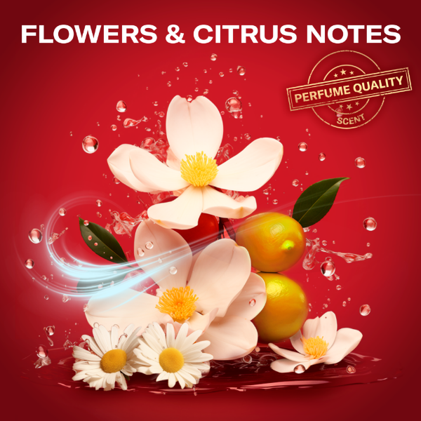 Old Spice Outdoor Explorer Ajándékszett Deep Sea Stift Dezodorral és Tusfürdővel termékhez kapcsolódó kép