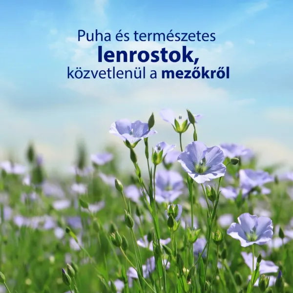 Zewa Sensitive Big Pack nedves toalettpapír 80 db termékhez kapcsolódó kép