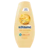 Schauma Q10 Fullness balzsam 250 ml termékhez kapcsolódó kép