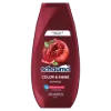Schauma Color & Shine sampon 250 ml termékhez kapcsolódó kép