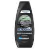 Schauma Deep Cleansing 3 az 1-ben mélytisztító sampon szénnel & agyaggal, hajra, arcra testre 400 ml termékhez kapcsolódó kép