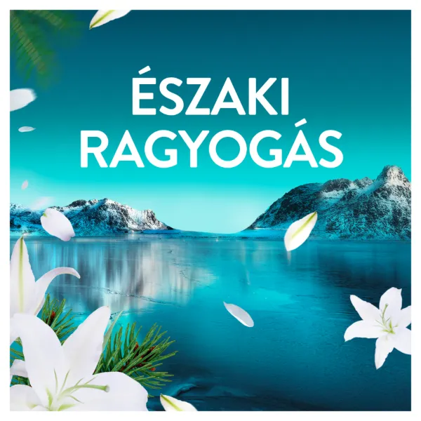 Lenor Fresh Air Öblítő 50 Mosáshoz, Northern Solstice termékhez kapcsolódó kép