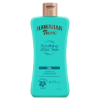 Hawaiian Tropic Soothing napozás utáni gél 200 ml termékhez kapcsolódó kép